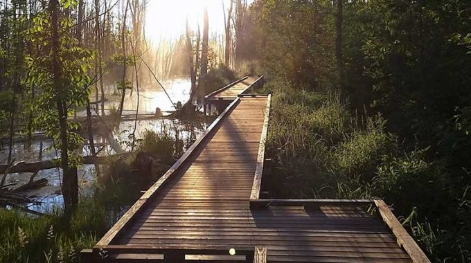 boardwalk - Brady photo