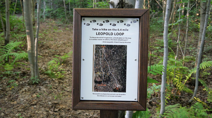 Leopold Loop sign