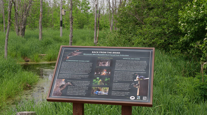 Wood duck interpretive sign