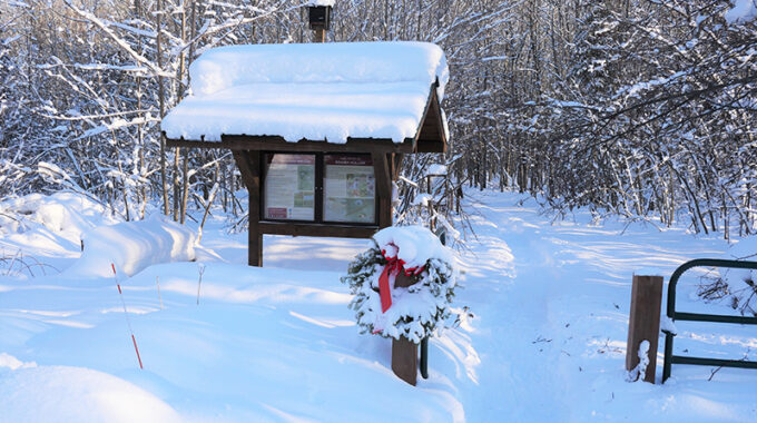 Beaver Hollow in Winter